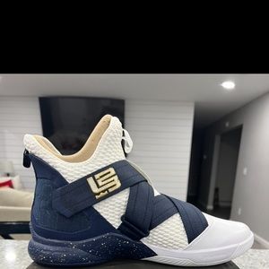 2018 LeBron Soldier 12 SFG 'Witness